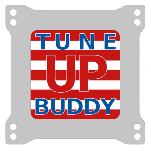 Vergaserinstandsetzung Mikuni 4-Fach Vergaseranlage